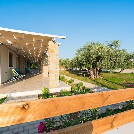 Olive Land Apartment