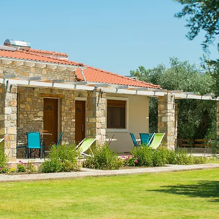 Olive Land Limenaria (Thasos)