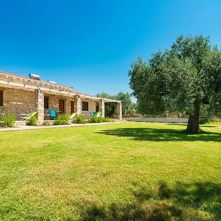 Olive Land Apartment Limenaria (Thasos)