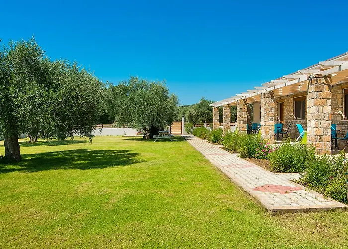 Apartamento Olive Land *