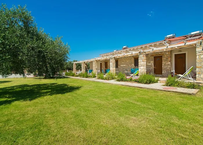 Olive Land Apartamento *